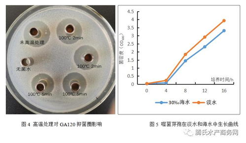 根源集团益倍康GA120 开启生物抑菌新纪元