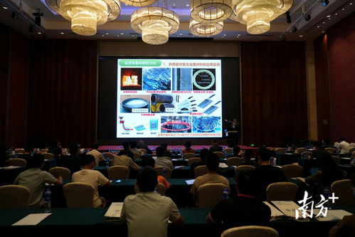 技术推广会与高质量发展论坛在阳江高新区成功举办，共绘产业升级新蓝图